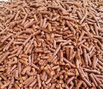 1732852858135103.jpg 生物顆粒.jpg