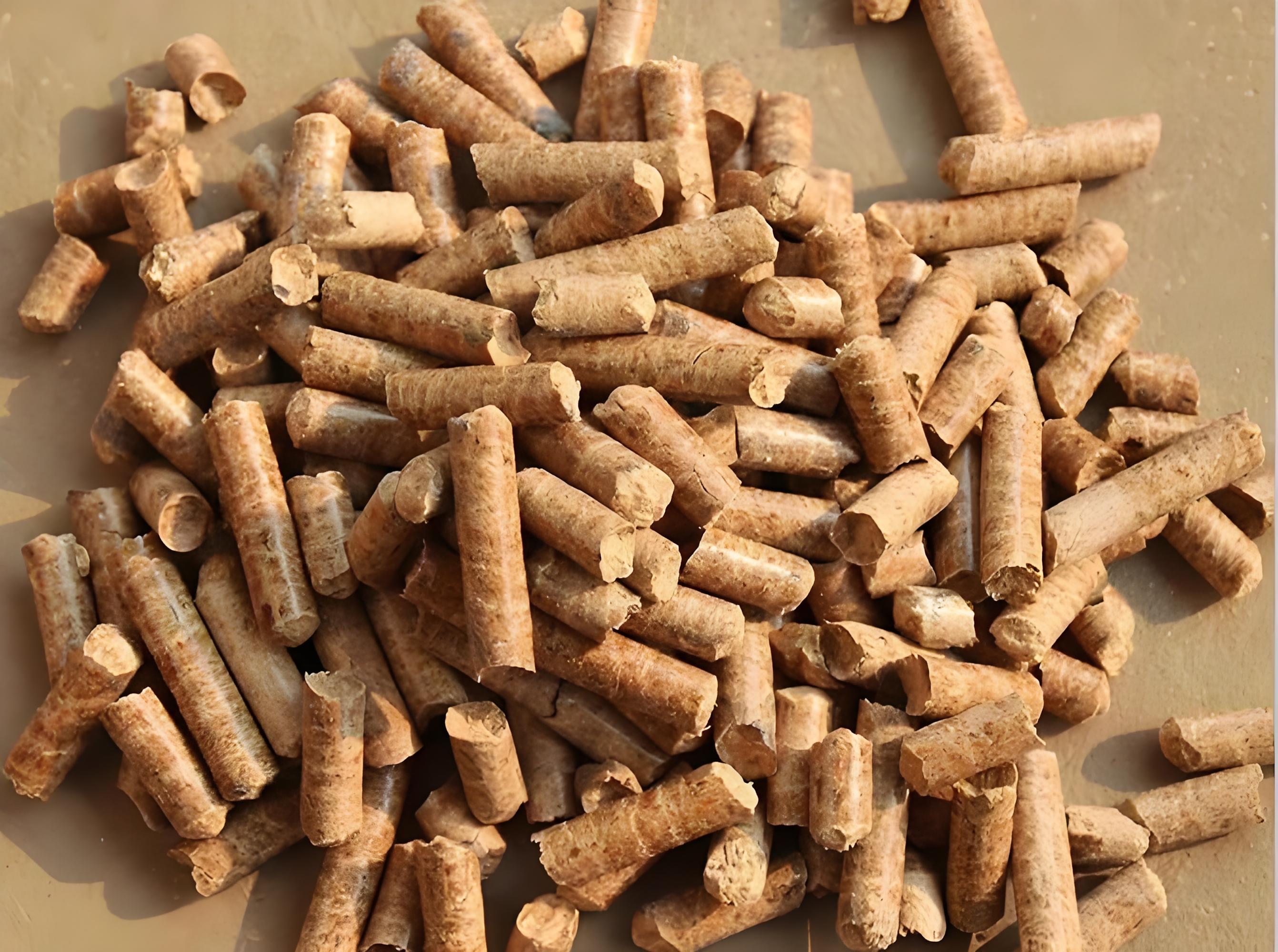 1732853063270459.jpg 1ad00f9d-4c61-4ec6-9239-e172789f2538.jpg