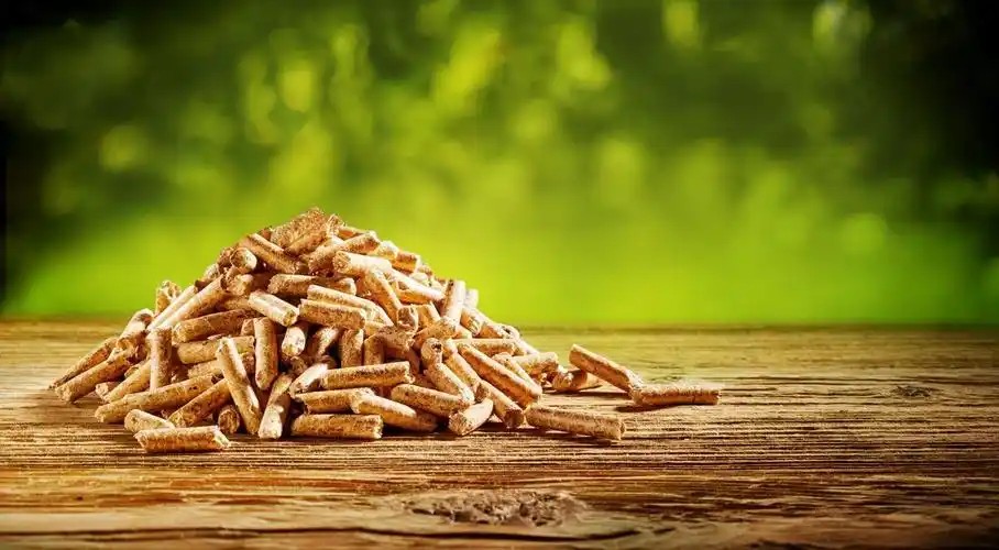 1734055878379735.jpg u=473890343,307257470&fm=253&fmt=auto&app=138&f=JPEG.jpg